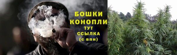 молекула духа Зерноград