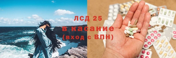 шишки Инта