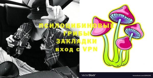 молекула духа Зерноград