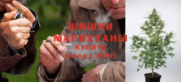 молекула духа Зерноград