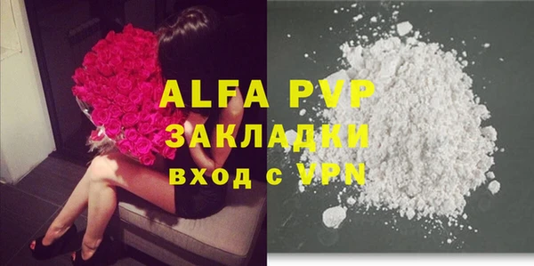 шишки Инта
