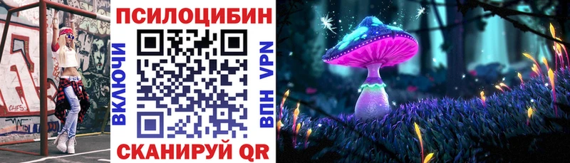 Галлюциногенные грибы Psilocybine cubensis  Купить где  Кириши 